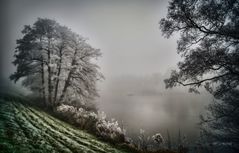 Frost und Nebel am Wümmedeich