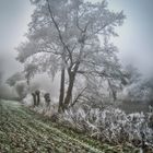 Frost und Nebel an der Wümme