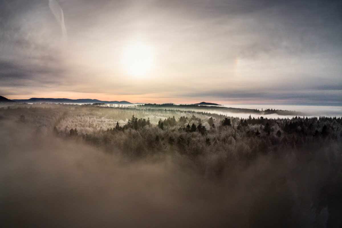 Frost und Nebel