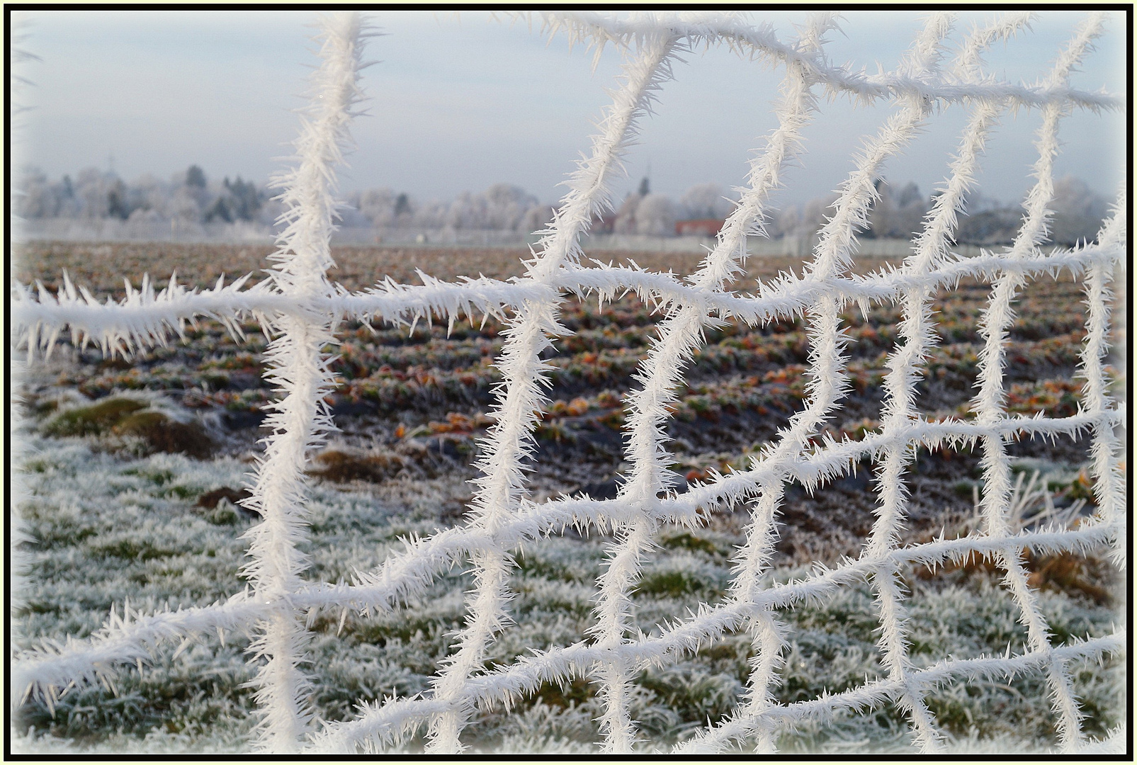 Frost und Nebel im Spiel..