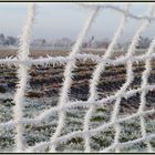 Frost und Nebel im Spiel..