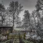 Frost und Nebel in den Wümmewiesen