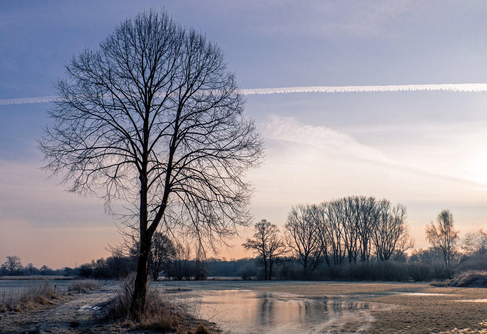 Frost und Raureif