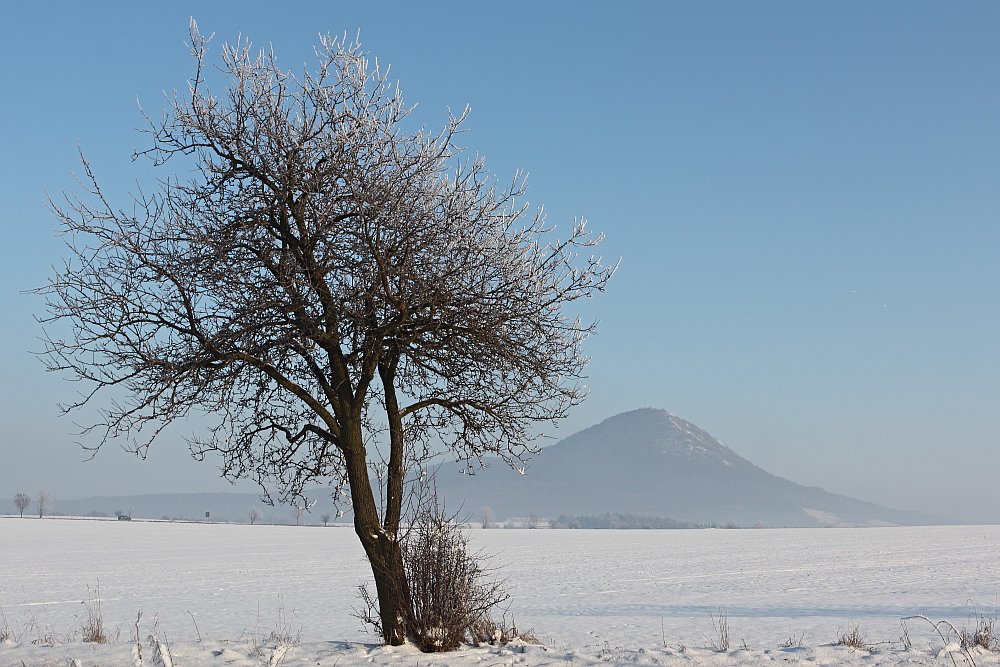 Frost und Schnee im Garten Böhmens Foto &amp; Bild world