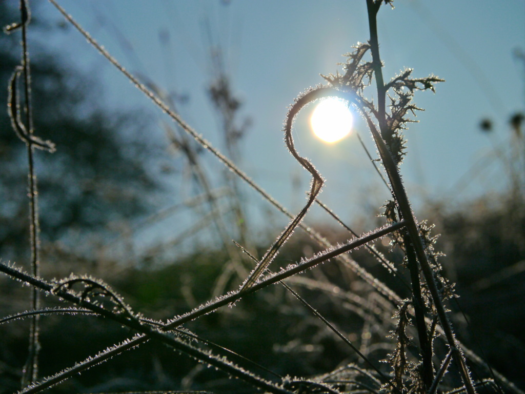 Frost und Sonne