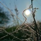 Frost und Sonne