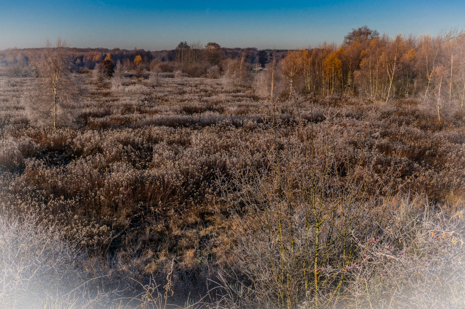 Frost und Sonne II  -  Hannover-Stöcken