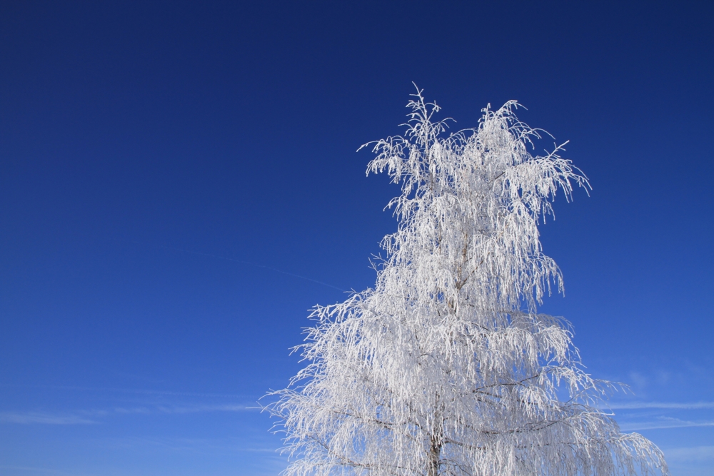 Frost und Sonnenschein