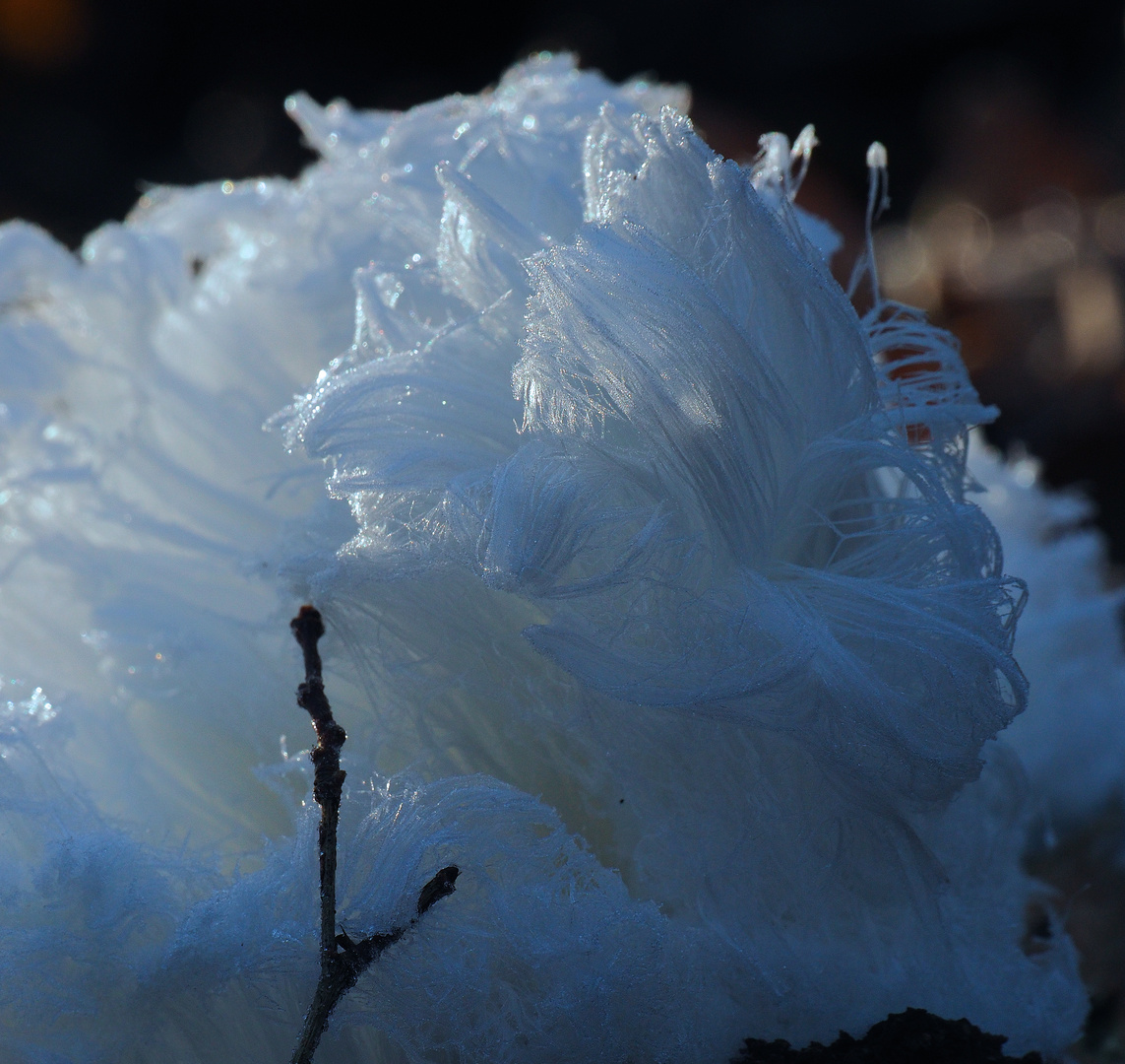 Frost und Wasser macht Eis .... feines Eis!