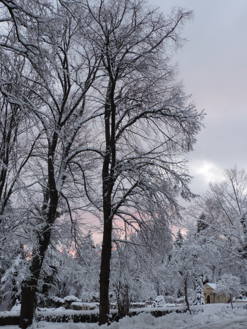 Frost von seiner schönen Seite