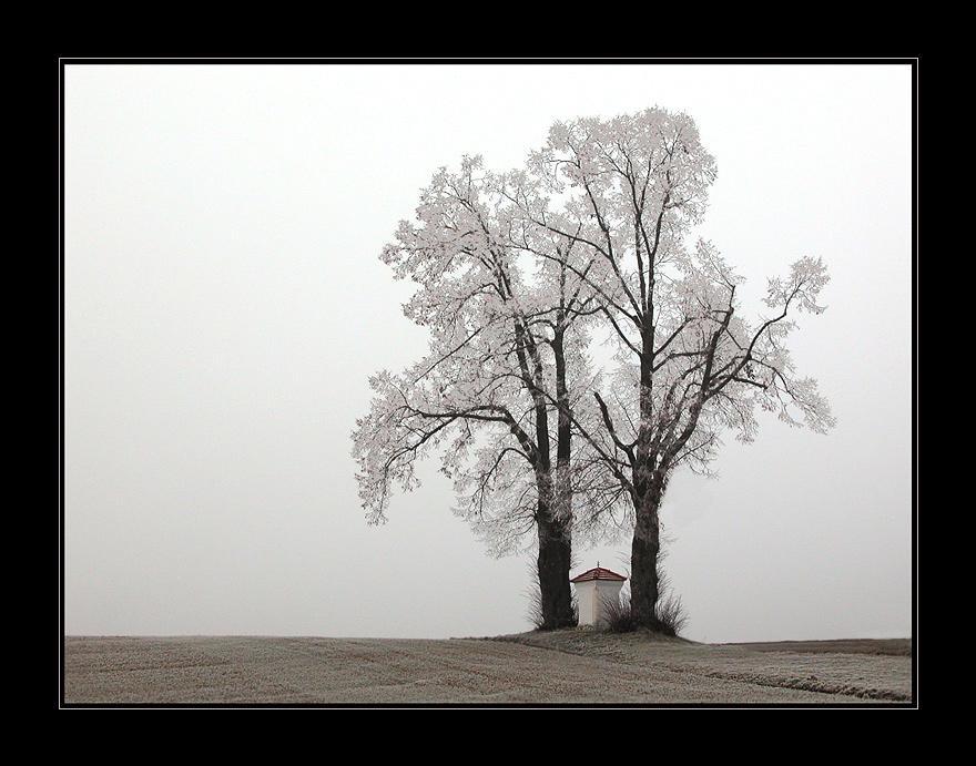 Frost x Nebel = ?