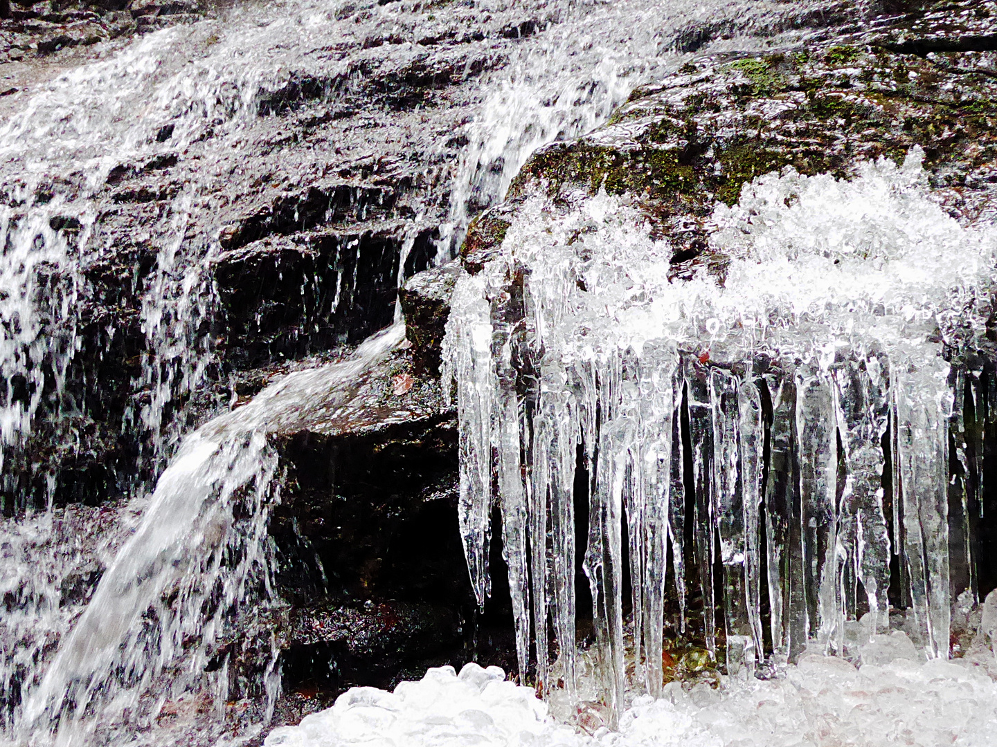 Frost - zu Eis erstarrt.