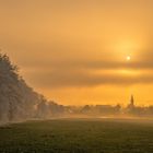 Frostbäume im Sonnenuntergang