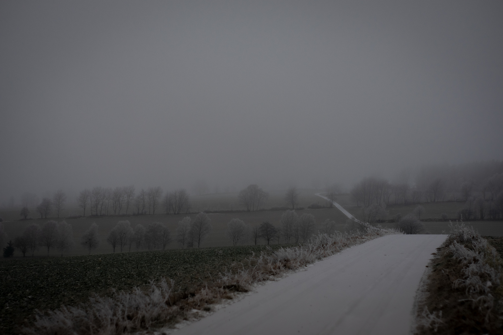 Frostbedeckter Weg in nebliger Landschaft