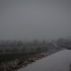 Frostbedeckter Weg in nebliger Landschaft