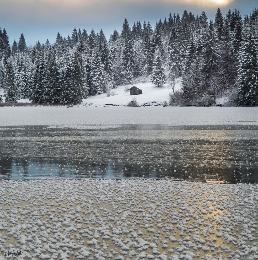 Frostblumen