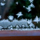 Frostblumen am Fenster