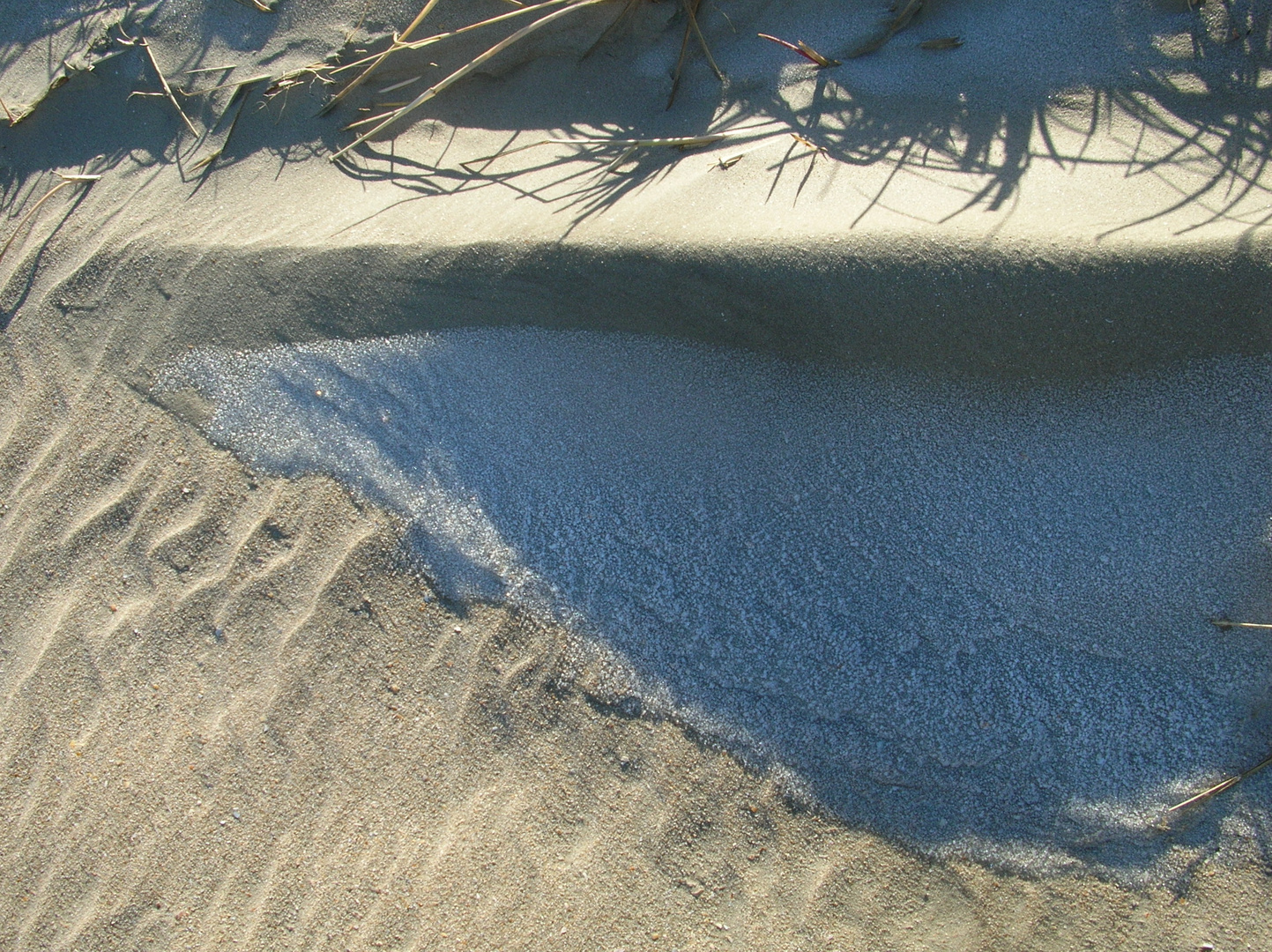 frosted beach