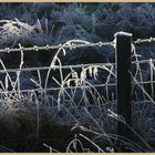 frosted fence at kielder