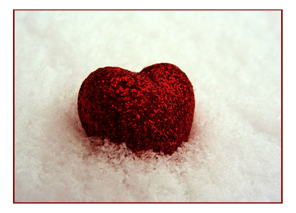 *frosted - love*