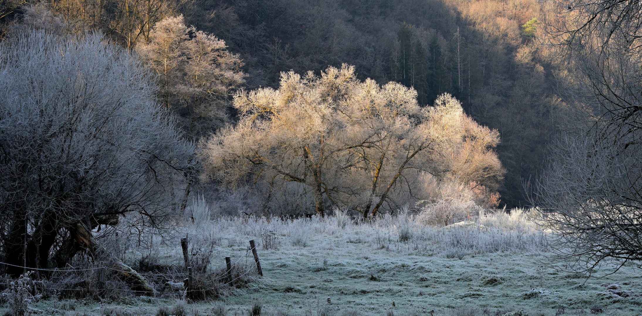 Frostfarben