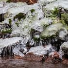 Frostgebilde am vergessenen Waldbrunnen