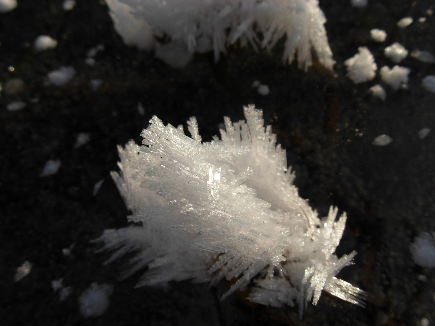 Frostgebilde auf einem zugefrorenen Feld