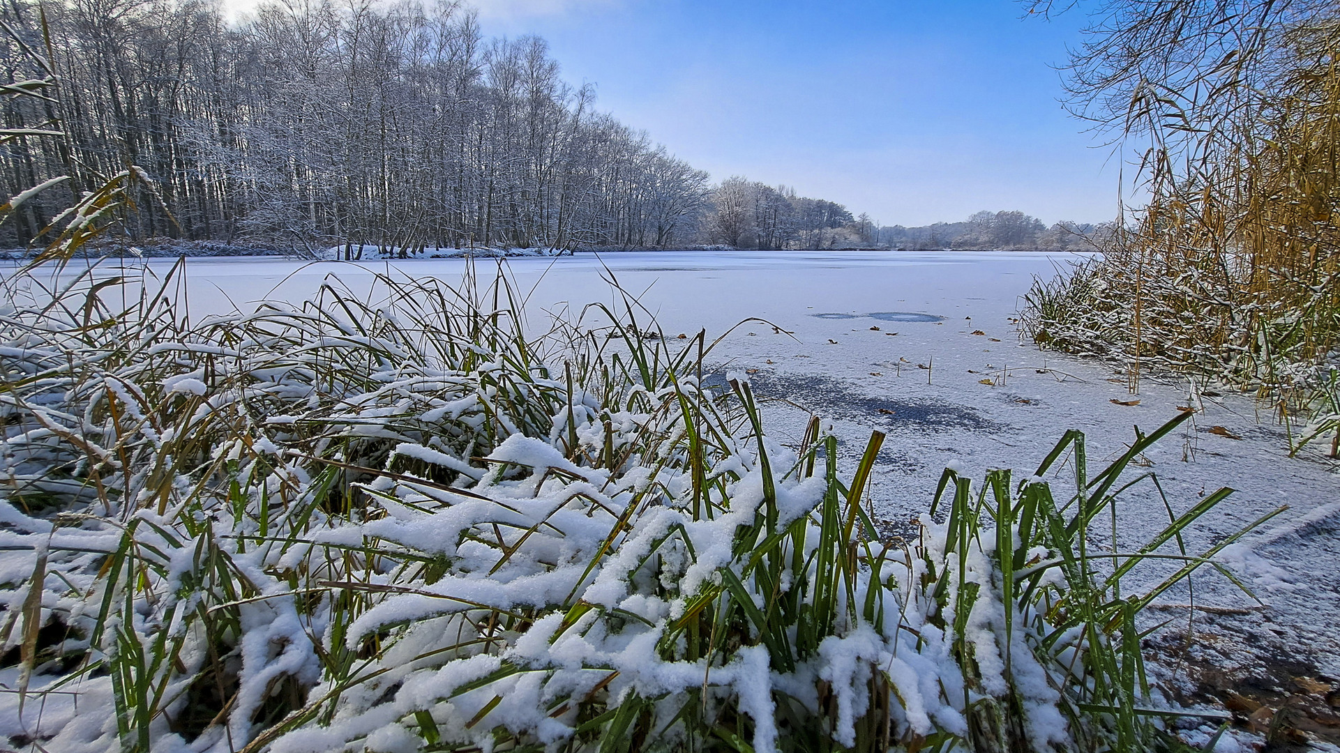 Frostgeflüster am Eissee