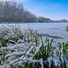 Frostgeflüster am Eissee