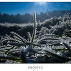 Frostig 2