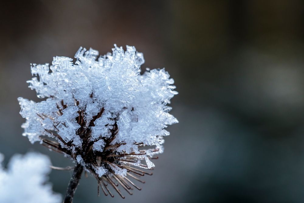 Frostig Foto & Bild kalt, winter, eis Bilder auf