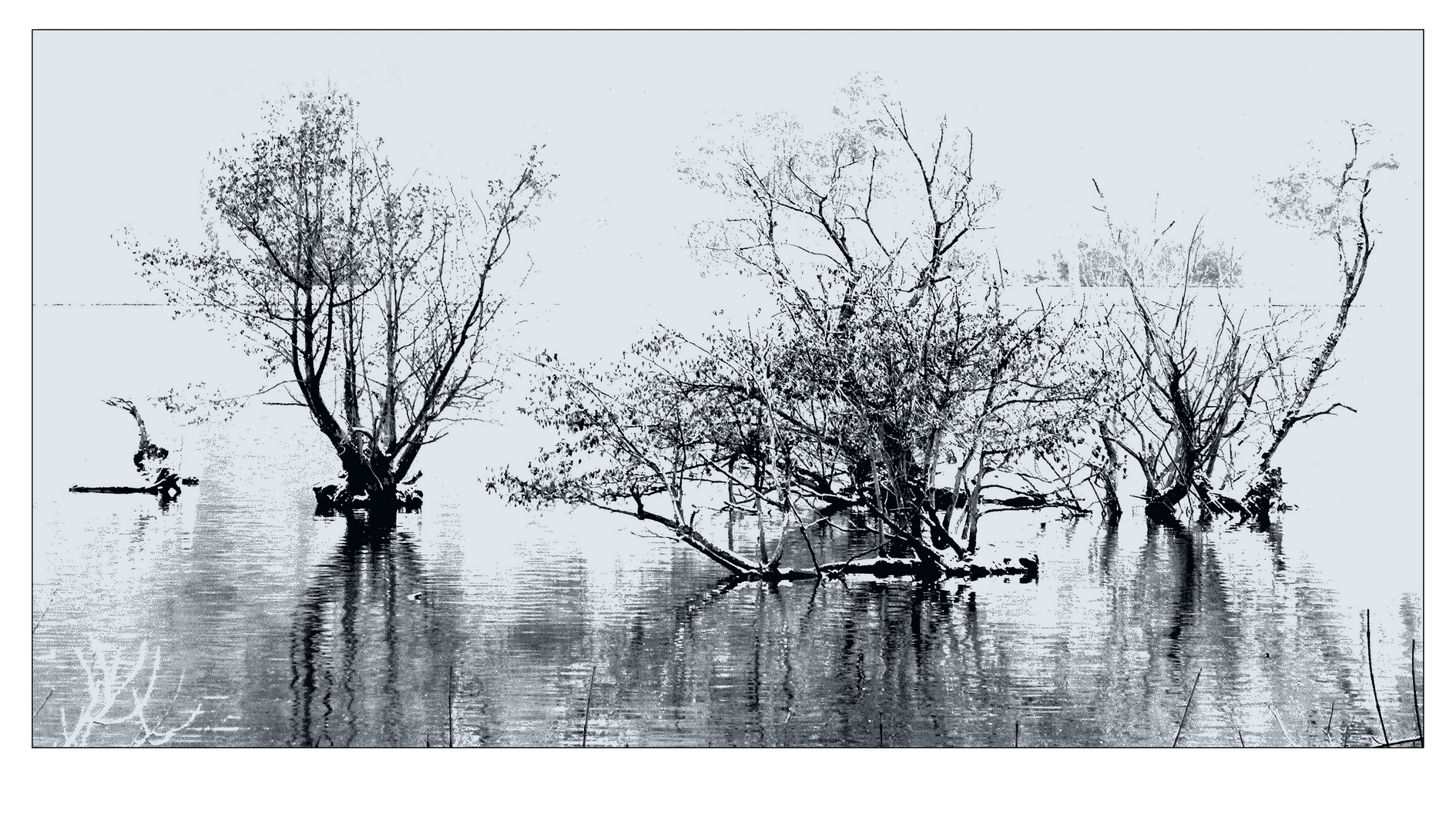 Frostig am See