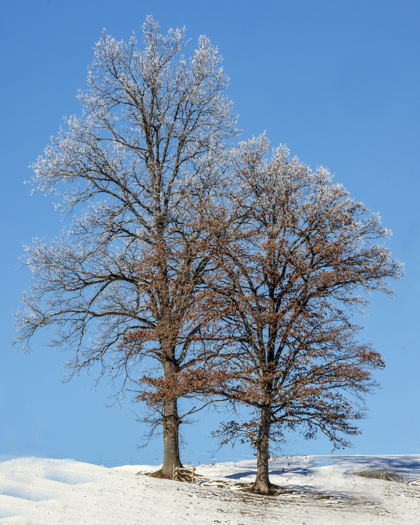 Frostig bei Kaiserwetter