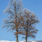 Frostig bei Kaiserwetter