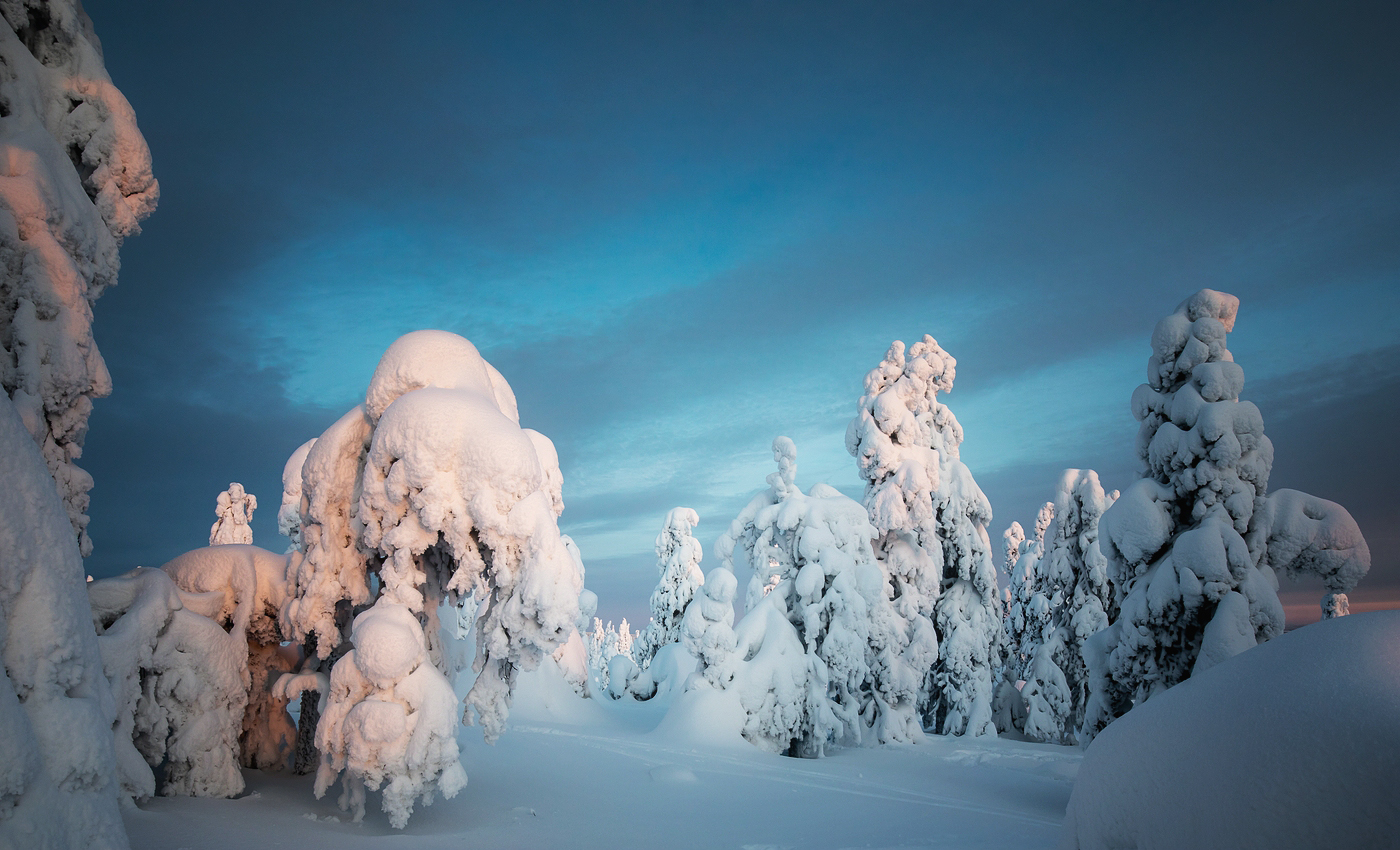 Frostig Foto & Bild | landschaft, jahreszeiten, winter Bilder auf ...