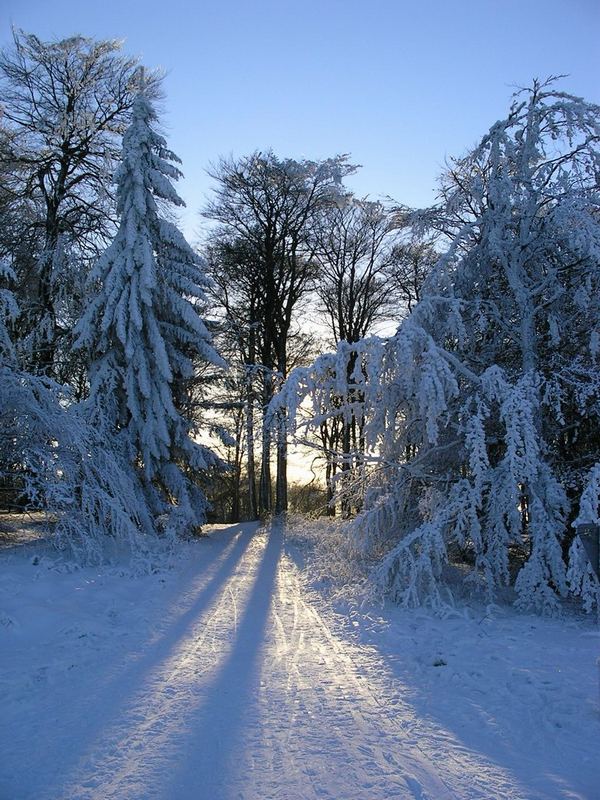 Frostig sonnig