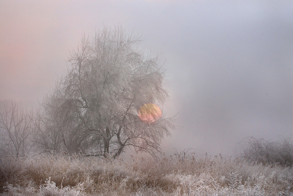 Frostig warm