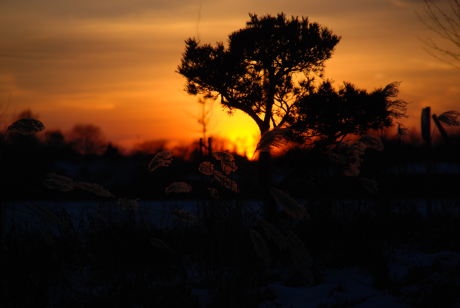 frostige Abendstimmung