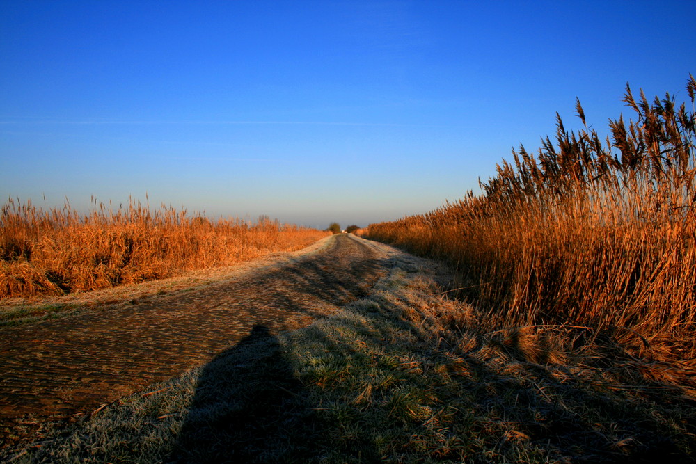 Frostige aber sonnige Tage