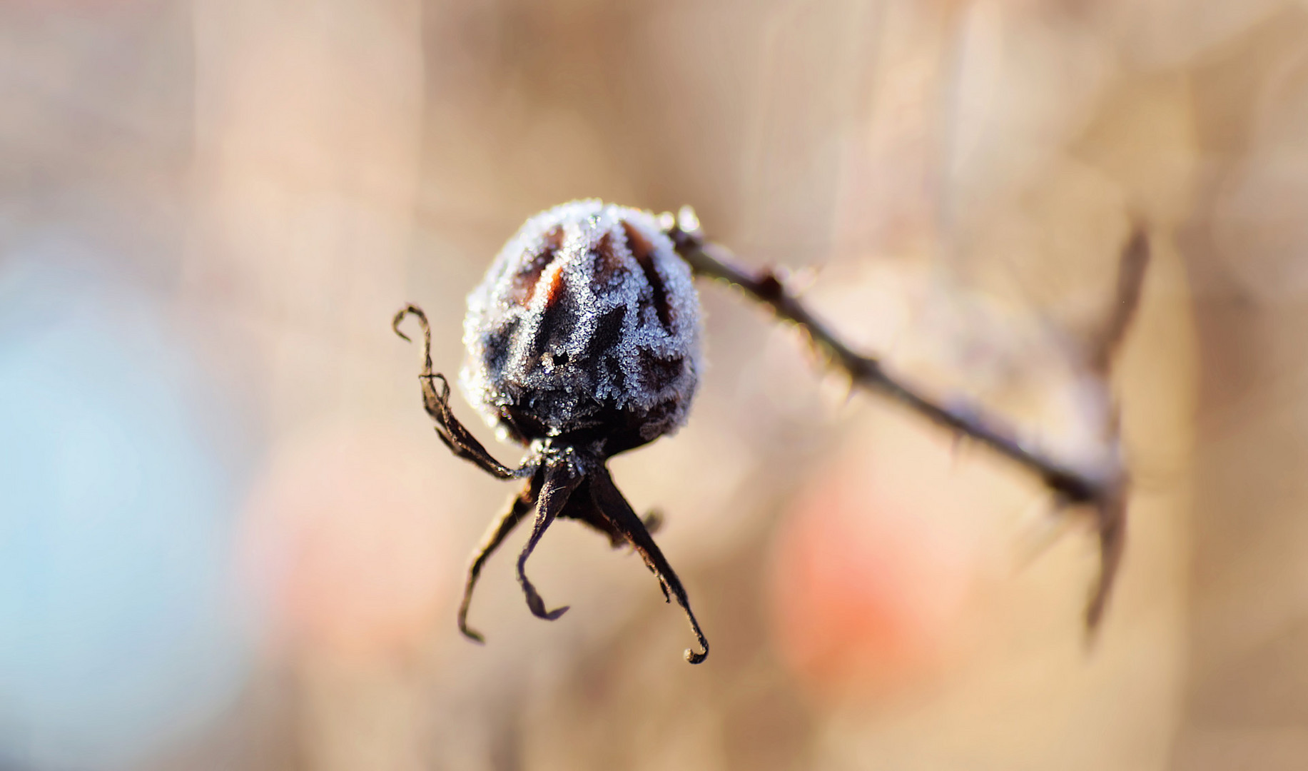 frostige Ansichten