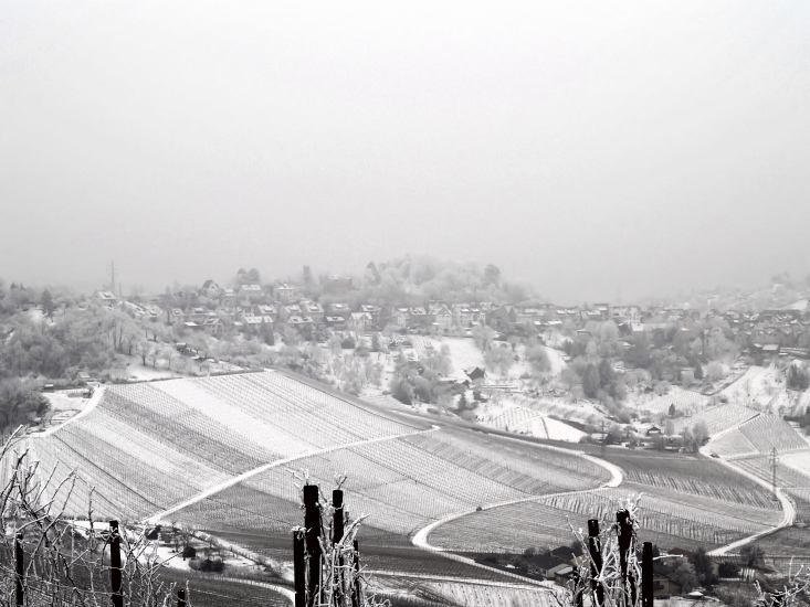 Frostige Aussicht