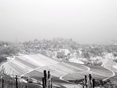 Frostige Aussicht