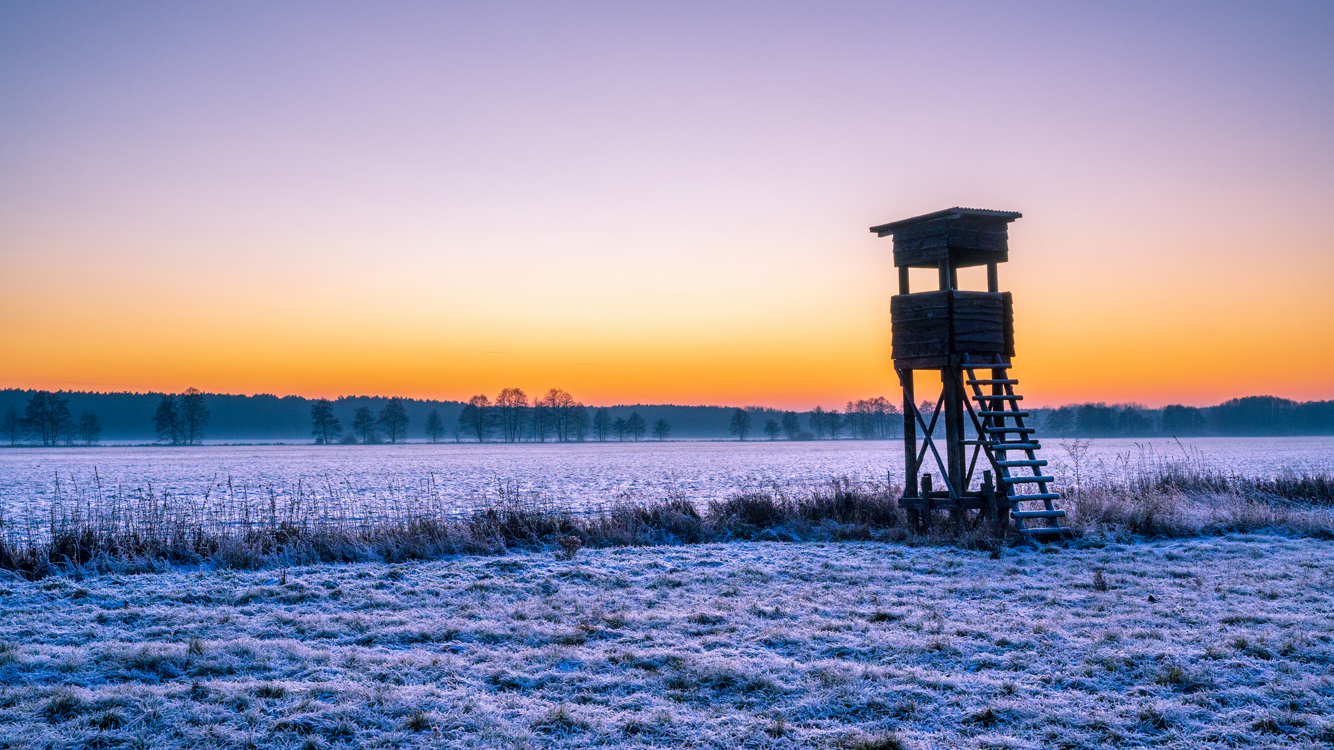 Frostige Aussicht