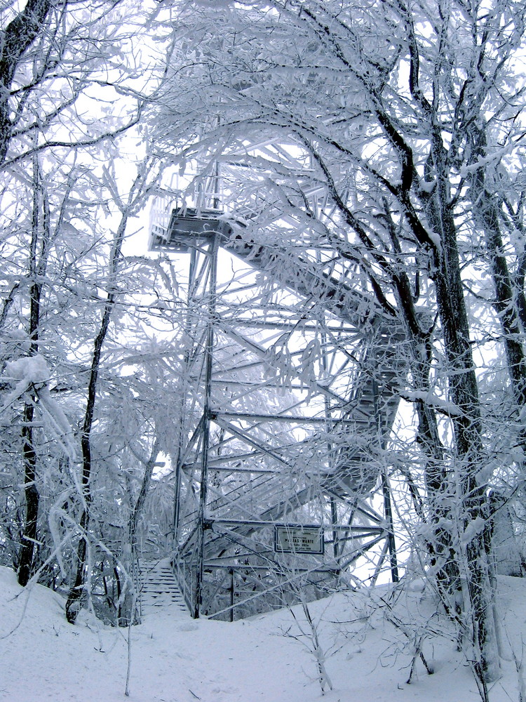 Frostige Aussicht