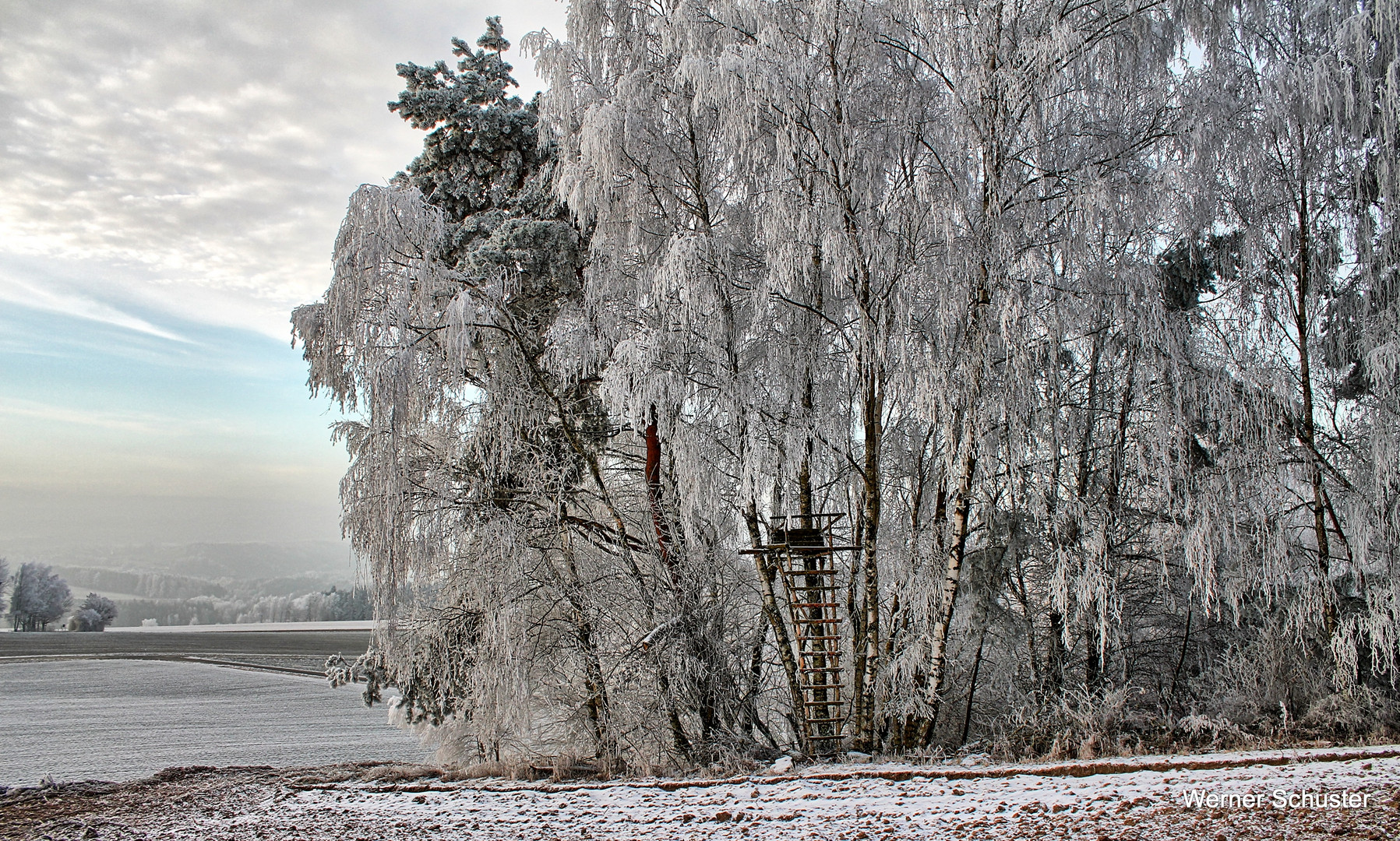 frostige Aussicht