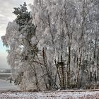 frostige Aussicht