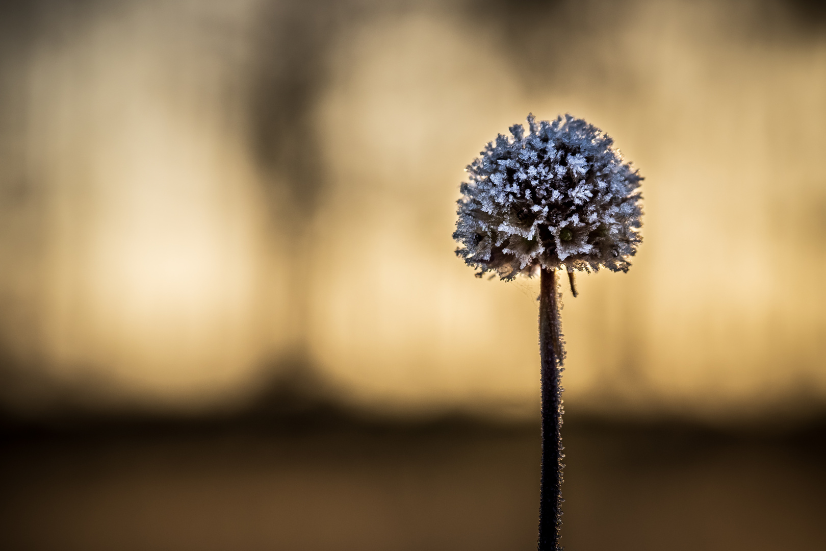 Frostige Aussichten