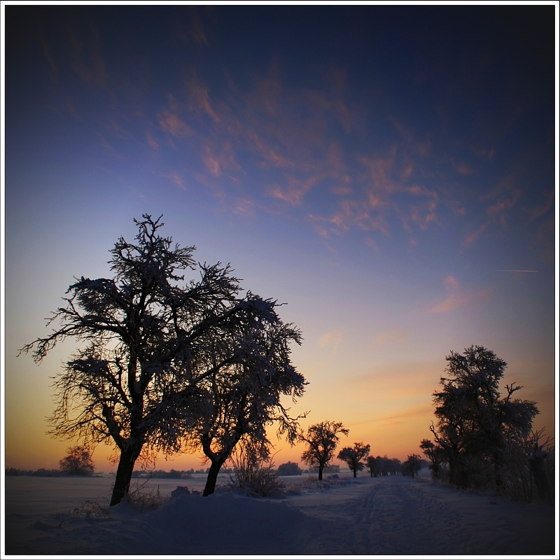 Frostige Aussichten