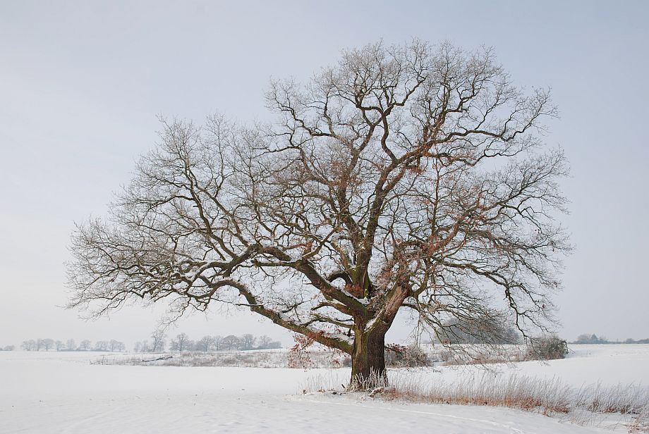 frostige Aussichten