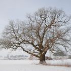 frostige Aussichten